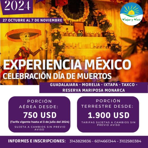 experiencia mexico